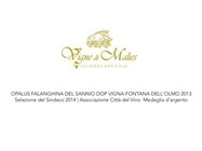 SANNIO TOP WINES 2014 - vignedimalies